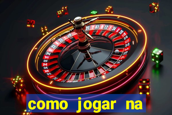 como jogar na lotinha do jogo do bicho